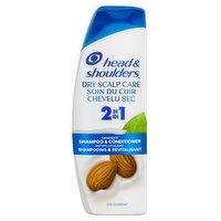 Head & Shoulders - 2 in 1 Dry Scalp 370ml, 370 Millilitre