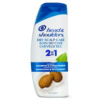 Head & Shoulders - 2 In 1 Dry Scalp Care, 613 Millilitre