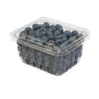 Blueberries - Organic, Fresh, 6 Ounce