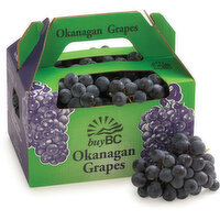 Grapes - Coronation, Okanagan Grown