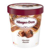 Haagen-Dazs - Chocolate Ice Cream, 450 Millilitre