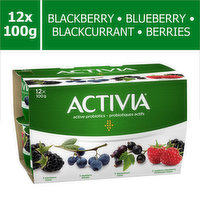 Activia - Probiotic Yogurt 2.9% M.F - Assorted, 100 Gram
