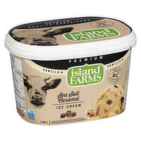 Island Farms - Vanilla Plus Ice Cream Sea Salt & Caramel, 1.65 Litre