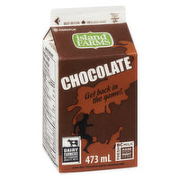 Island Farms - Chocolate Milk - 0.8%  M.F. Partly Skimmed Milk, 473 Millilitre
