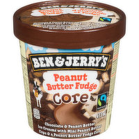 Ben And Jerry - Ice Cream Peanut Butter Fudge Core, 473 Millilitre
