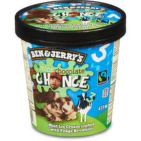 Ben & Jerry's - Mint Chocolate Chance Ice Cream, 473 Millilitre