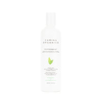 Carina Organics - CARORG CONDITNER COOL MINT, 360 Millilitre