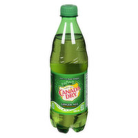 Canada Dry - Gingerale, 500 Millilitre