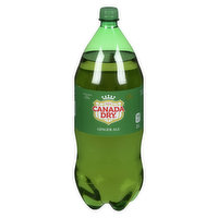 Canada Dry - Ginger Ale