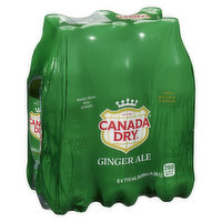 Canada Dry - Ginger Ale, 6 Each