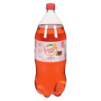Canada Dry - Diet Cranberry Ginger Ale