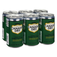 Canada Dry - Ginger Ale Zero Sugar, 222 Millilitre