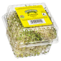 Eatmore - Alfalfa Sprouts