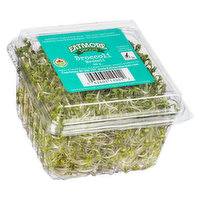 Eatmore - Organic Broccoli Sprouts