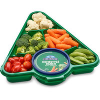 Western Family - Tree Vegetable Tray w/dip