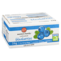 western family - Cultivated Blueberries