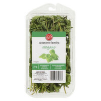 western Family - Fresh Oregano