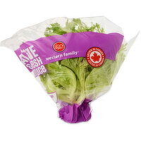 Western Family - Multileaf Trio Living Lettuce