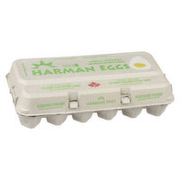 Harman - White Eggs - Extra Large