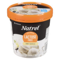 Natrel - Ice Cream Lactose Free Very Vanilla, 473 Millilitre