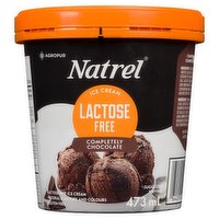 Natrel - Ice Cream Lactose Free Completely Chocolate, 473 Millilitre