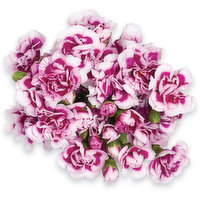 Carnations - Mini Carnations -Qty 10- Per Bunch, 10 Each