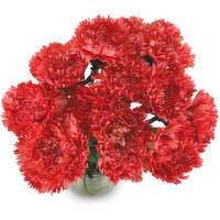 Carnations Carnations - Bouquet, Dozen, 1 Each