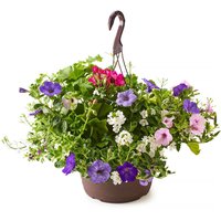 Hanging Basket - Mixed Flowers, Fresh 12In, 1 Each