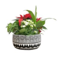 Planter - Cement Holiday. 8IN, 1 Each