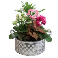 Planter - White Embossed with Beaded Handle, 8 Each