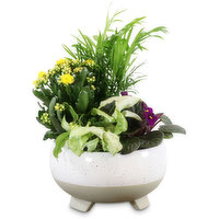 Two Tone - Ceramic Planter With Feet 8In, 1 Each