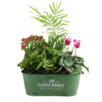 Potted Plants - Flower Market Planter 6x11, 1 Each