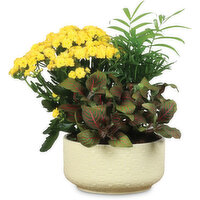 Planter - Gloss Embossed, 7 inch, 1 Each