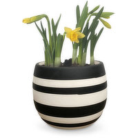 Planter - Black Lines Pot, 4 inch, 4 Each