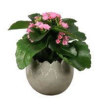 Cement - Egg Pot and Flower 4 Inch, 1 Each