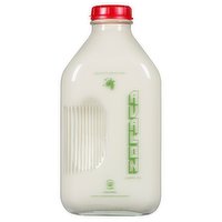 Avalon - Milk Homogenized Organic