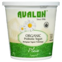 Avalon - Probiotic Yogurt Plain Organic, 650 Gram