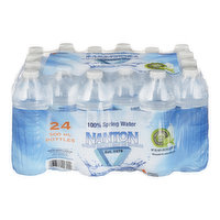 Nanton Nutraceuticals - Spring Water, 24 Each