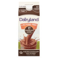 Dairyland - Lactose Free Chocolate Milk 1% M.F.