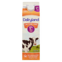 Dairyland Plus - Lactose Free Milk 1%, 946 Millilitre