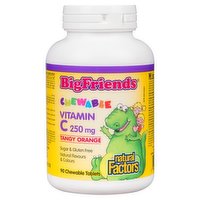 Natural Factors - Big Friends Vitamin C 250mg Chewable Orange, 90 Each