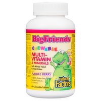 Natural Factors - Big Friends Multi & Minerals Chewable Jungle Berry, 60 Each