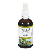 Natural Factors - Fresh Kelp Extract, 50 Millilitre