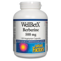 Natural Factors - WellBetX Berberine 500mg, 120 Each