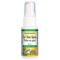 Natural Factors - Tea Tree Oil Spray, 30 Millilitre