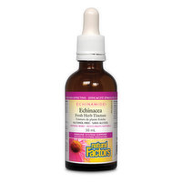 Natural Factors - Echinamide Anti Cold Alcohol Free Tincture Berry, 50 Millilitre
