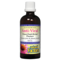 Natural Factors - Echinamide Anti Viral Potent Fresh Herbal Tincture, 100 Millilitre