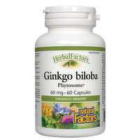 Natural Factors - Ginkgo Phytosome, 60 Each