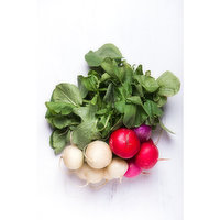 Radish - Easter Egg Organic, 1 Each