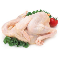 Fresh - Female H/F Taiwanese Specialty Chicken, 3000 Gram